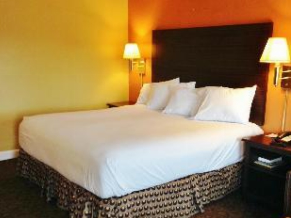 Double Room - Non-Smoking 